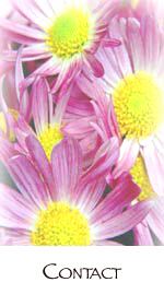 charity miller massage, bodywork, healing in Marin, petaluma, Sonoma,Napa